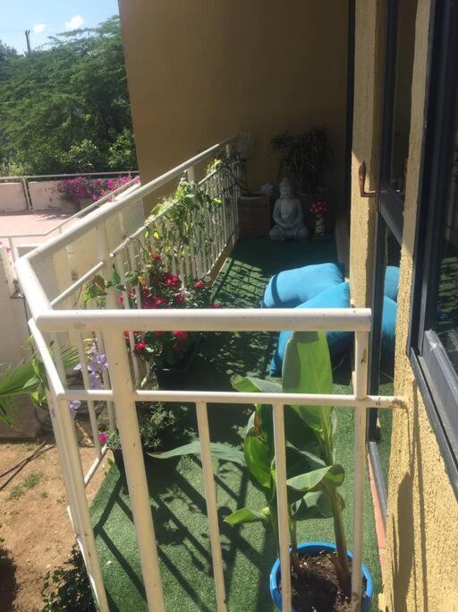 Appartement En *